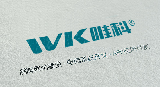 大型网站建设